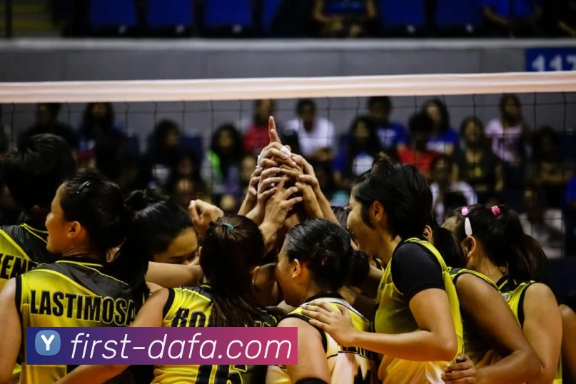 App Interface Preview